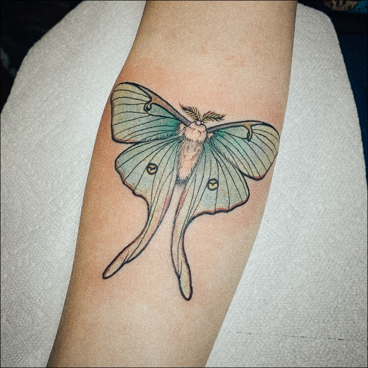 Significado de tatuarse una mariposa isabelina